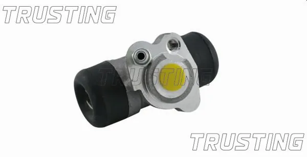 CF787 Trusting