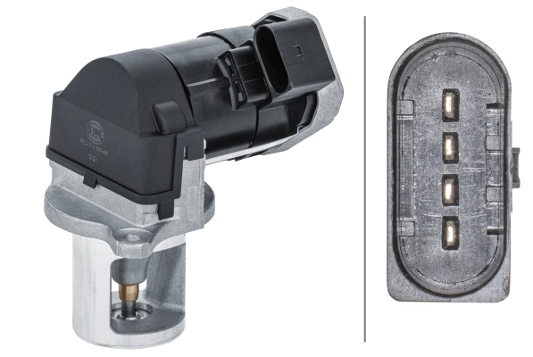 EGR Jdeus EG017004V