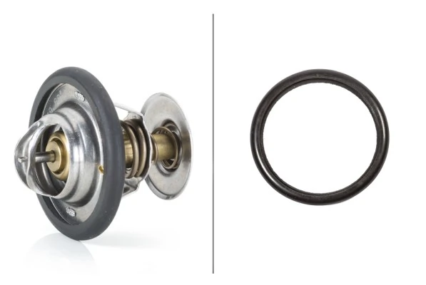 Termostato refrigerante para Nissan Patrol  (K260)