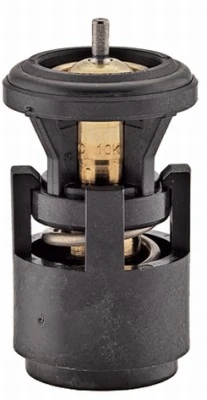 Termostato refrigerante Volkswagen Golf VI (AJ5)