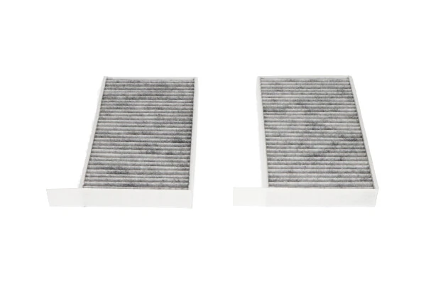 Filtro de polen Bosch 986628583