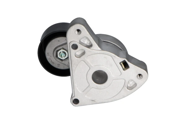Tensor de la correa trapecial Kavo Parts DTP2001 precio, desde 53,63 EUR