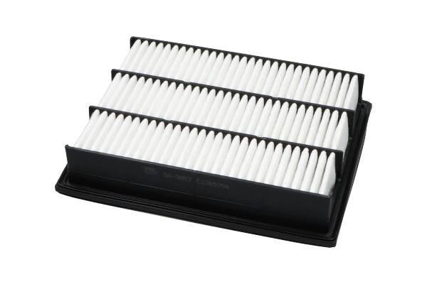 Comprar Filtro de aire SsangYong Rodius  