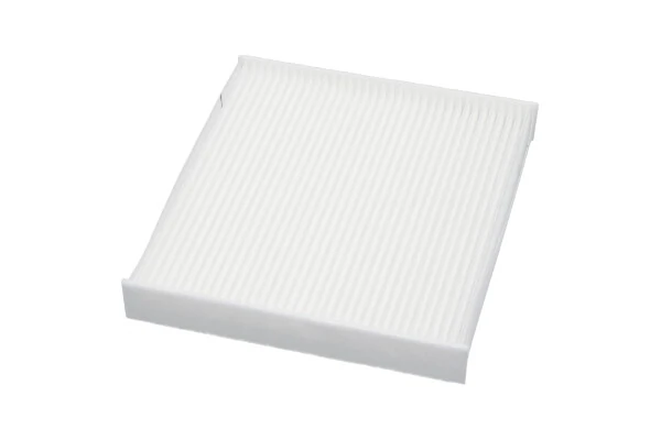 TC1018 Kavo Parts Filtro antipolen