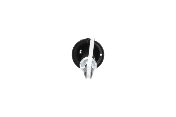 Amortiguador trasero Kavo Parts SSA2001 precio, desde 41,70 EUR