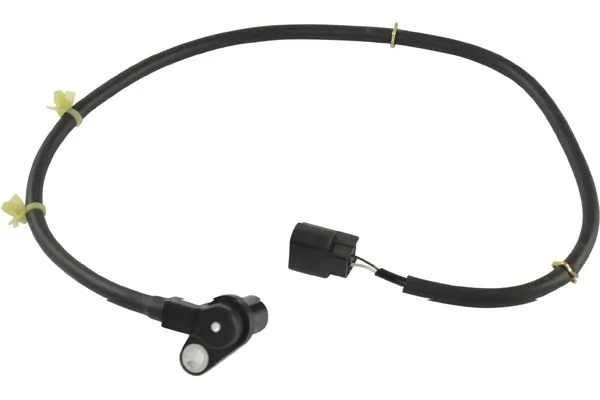 BAS5543 Kavo Parts