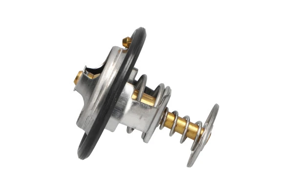 TH9001 Kavo Parts Termostato de agua