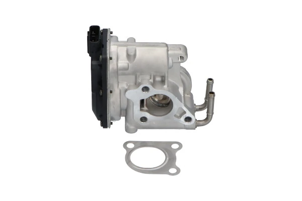 EEG9021 Kavo Parts