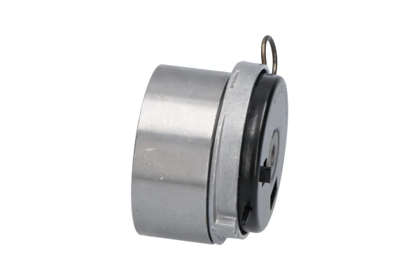 DTE1009 Kavo Parts Rodillo de cadena