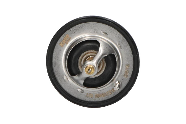 Termostato para Toyota 4 Runner N130