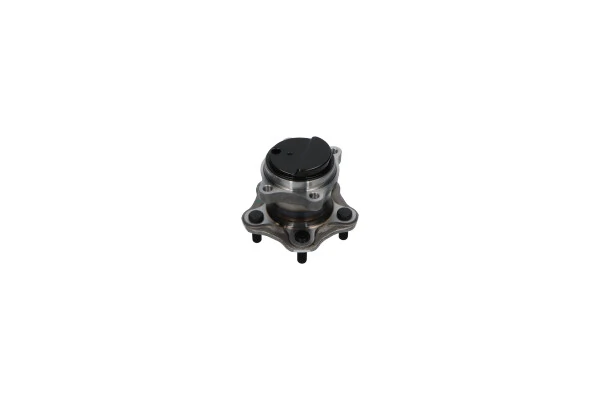 WBH6546 Kavo Parts Buje de rueda trasero