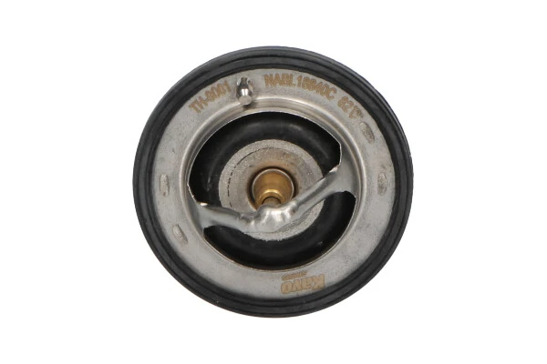 Termostato de agua Citroen Jumper  (1994-2002)