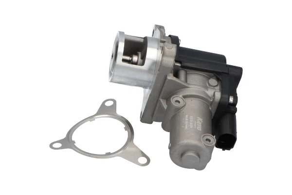 EEG3021 Kavo Parts