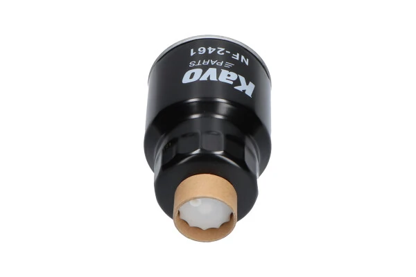 Filtro combustible Kavo Parts NF2461 precio, desde 10,41 EUR