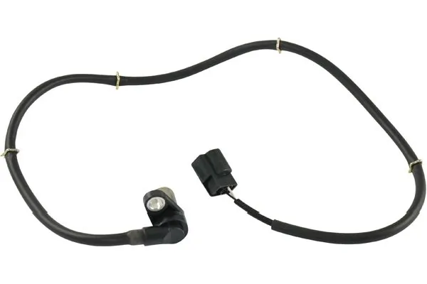 BAS5546 Kavo Parts