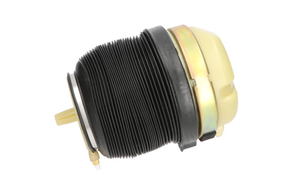 SAS10009 Kavo Parts
