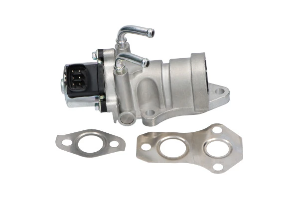 EEG9020 Kavo Parts