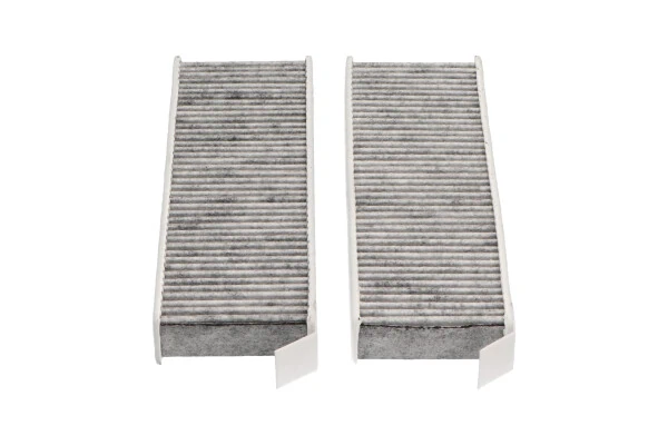Filtro de polen Peugeot/Citroen 1689027480