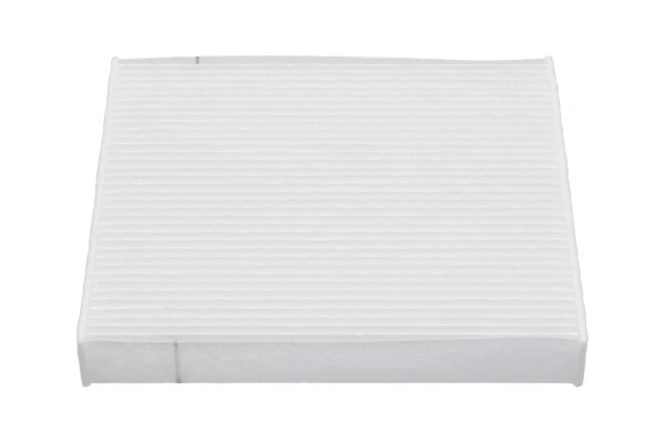 Filtro antipolen Subaru Legacy IV (2003-2009)