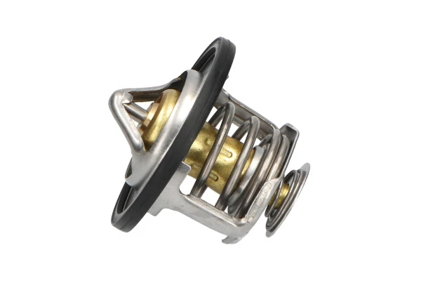 TH3501 Kavo Parts Termostato de agua