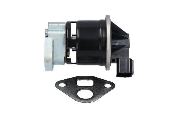 EEG2003 Kavo Parts