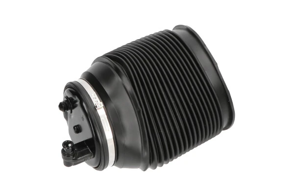 SAS10012 Kavo Parts
