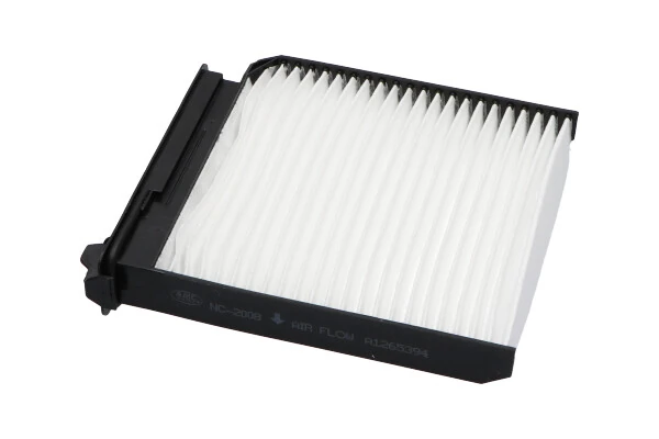 NC2008 Kavo Parts Filtro antipolen