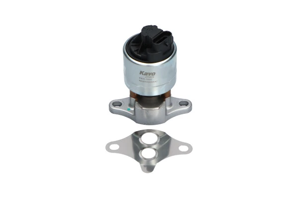 EEG1002 Kavo Parts