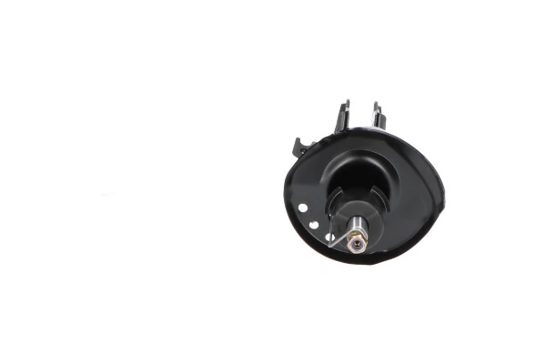 Amortiguador delantero derecho Kavo Parts SSA10284 precio, desde 72,71 EUR