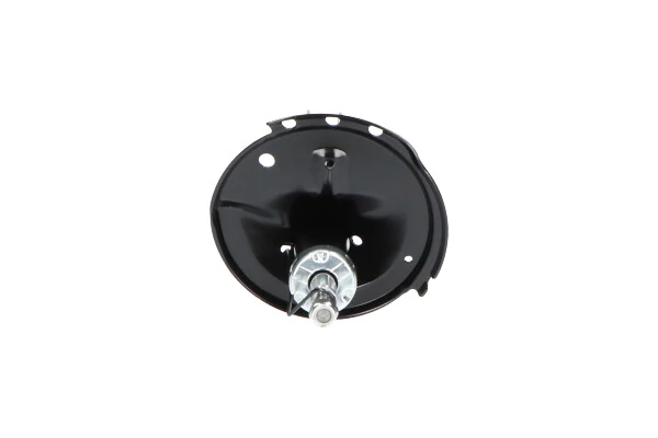 Amortiguador delantero izquierdo Kavo Parts SSA9003 precio, desde 90,51 EUR