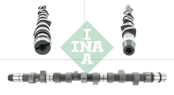 428006510 INA
