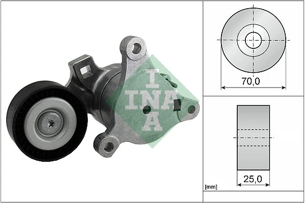 534036210 INA