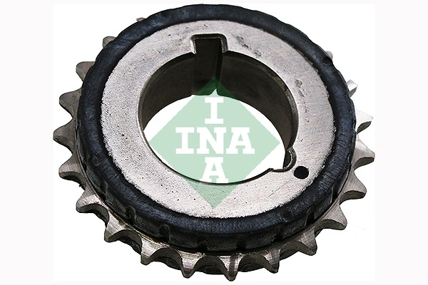 554006610 INA