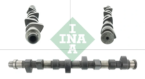 428015310 INA