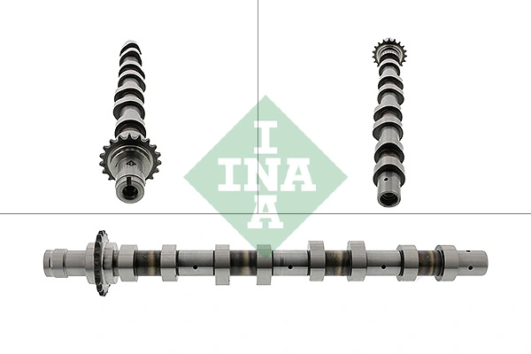 428011910 INA