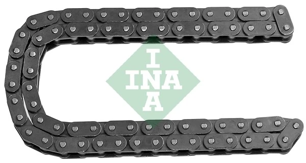 553004810 INA