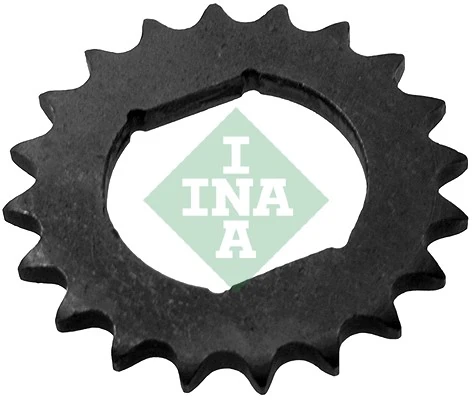 554007310 INA