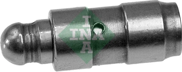 420011910 INA