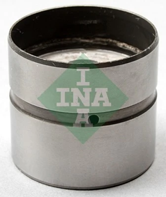 420021110 INA