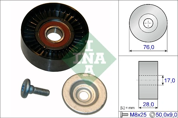 532064810 INA