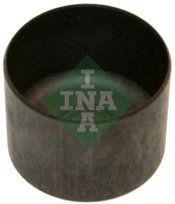 421005810 INA