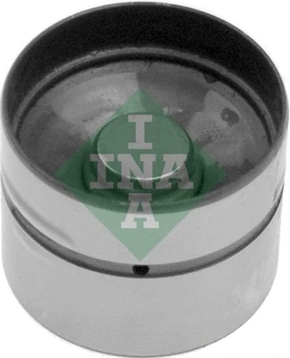 420004710 INA