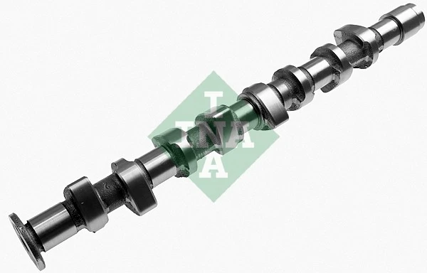 428016210 INA