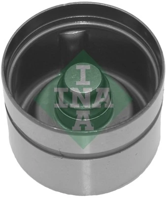 420017010 INA