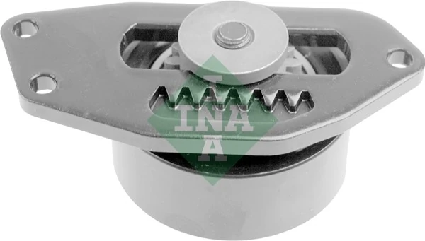 Comprar Polea tensora auxiliar de la correa poly V Citroen C15  VD a bajo precio