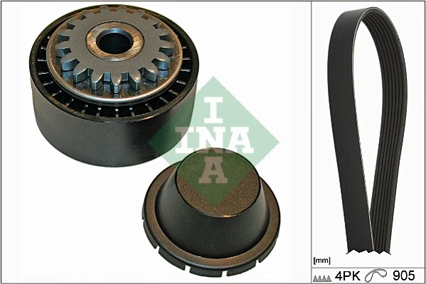529017410 INA