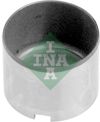 421001710 INA