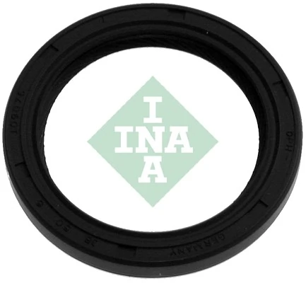 413009810 INA
