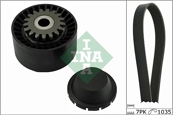 529001610 INA