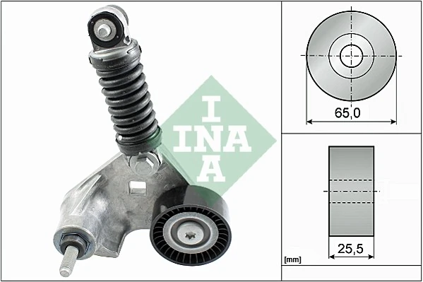 534016910 INA